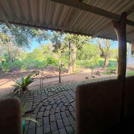 Tembo Cottage ウィルパットゥ エクステリア 写真